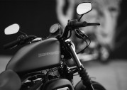 Harley-Davidson XL 883N Iron 883